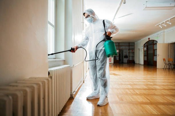 Pest Control for Restaurants in Taunton, MA